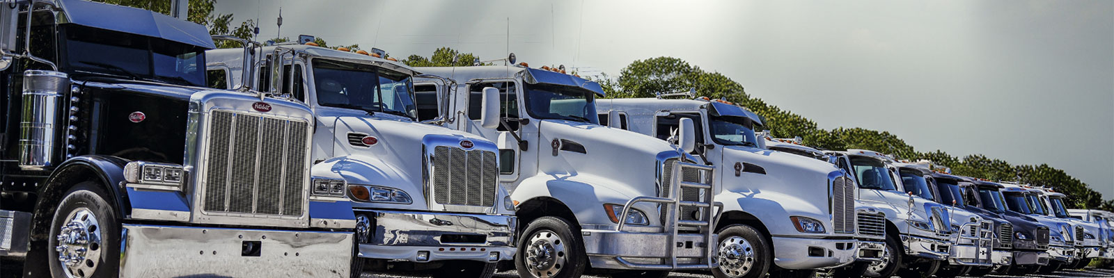 Submit your drea mtruck