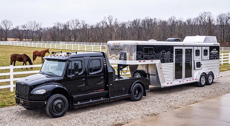 The Equine & Livestock Industry